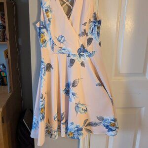 Lulus garden walk pink floral skater dress